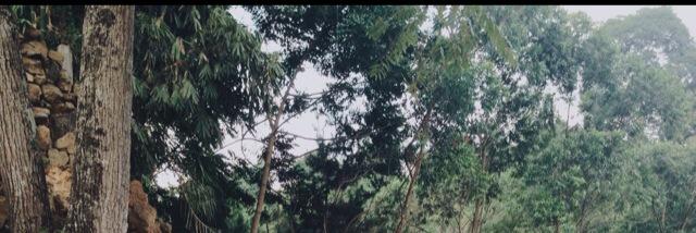 raniiap_'s profile banner image