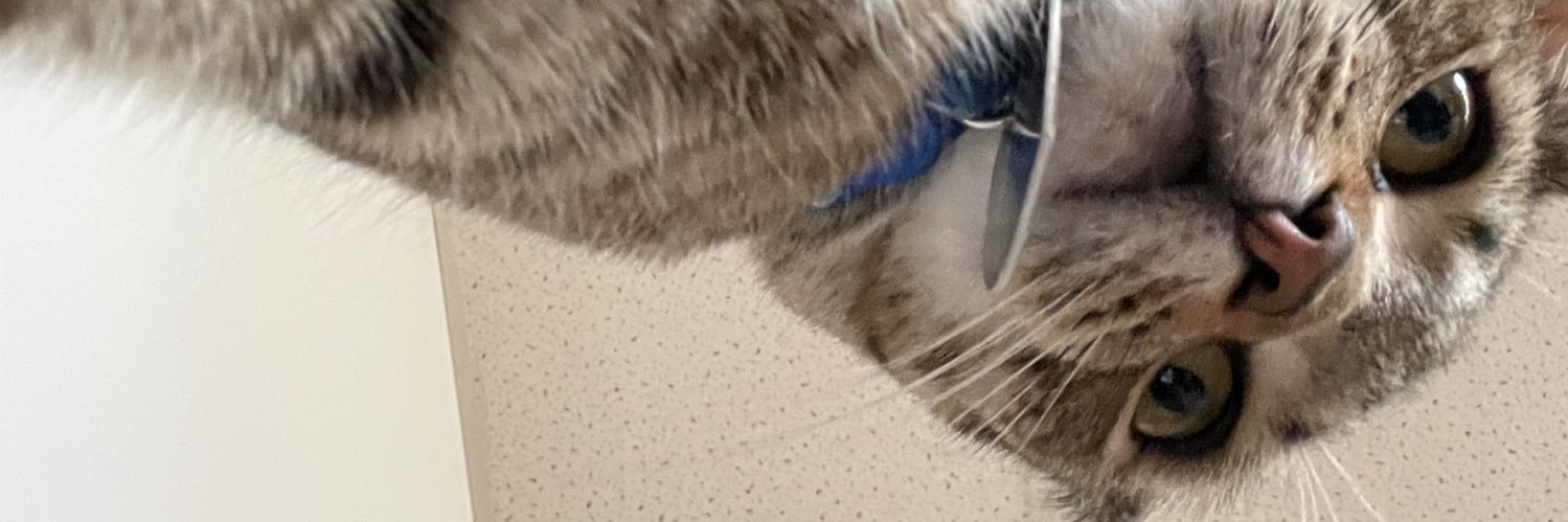 Derek banner