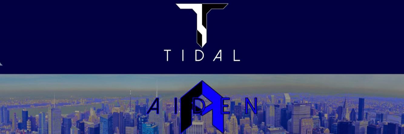 AidenVii's profile banner image