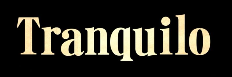 Mongolfrom's profile banner image