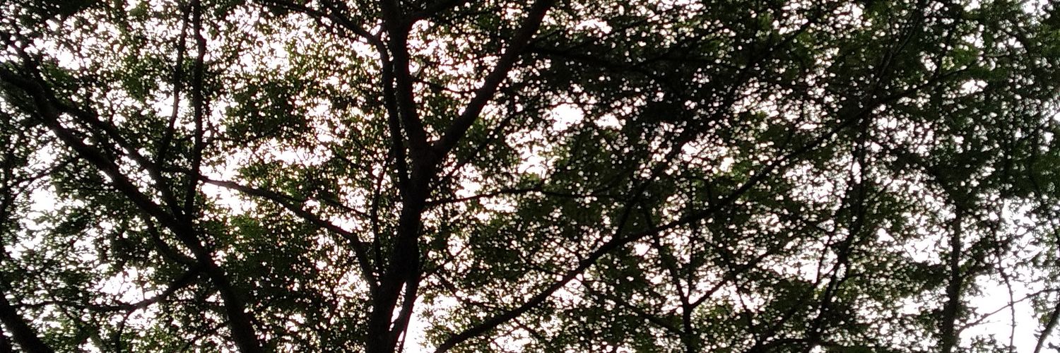 nbrshd's profile banner image