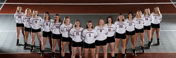mulesvb Profile Banner