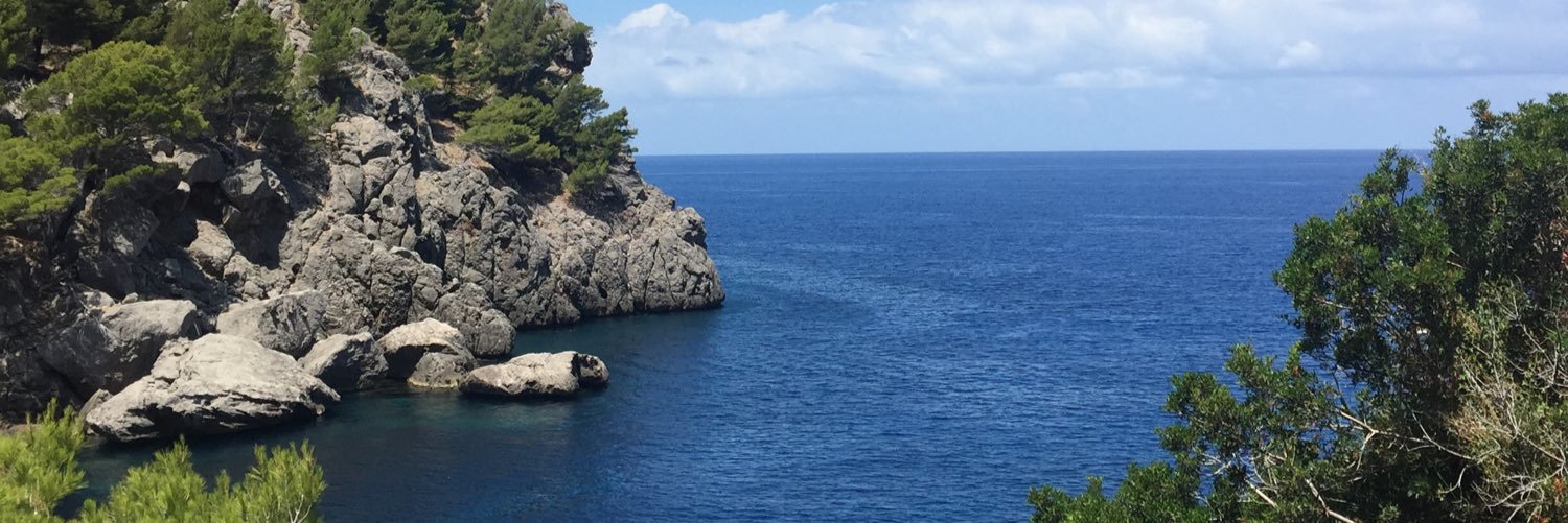 MA Barba Flores banner