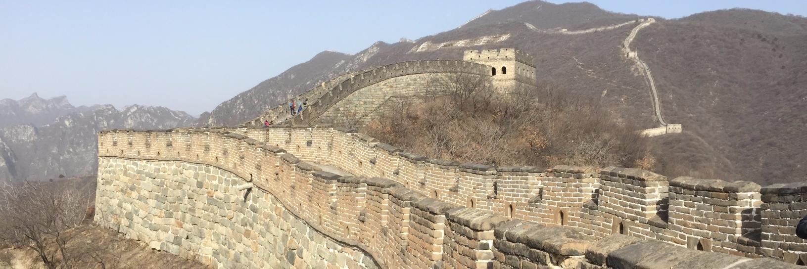 Emily Kinnear banner