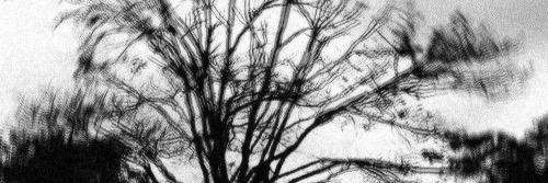 Greyson Manning. banner
