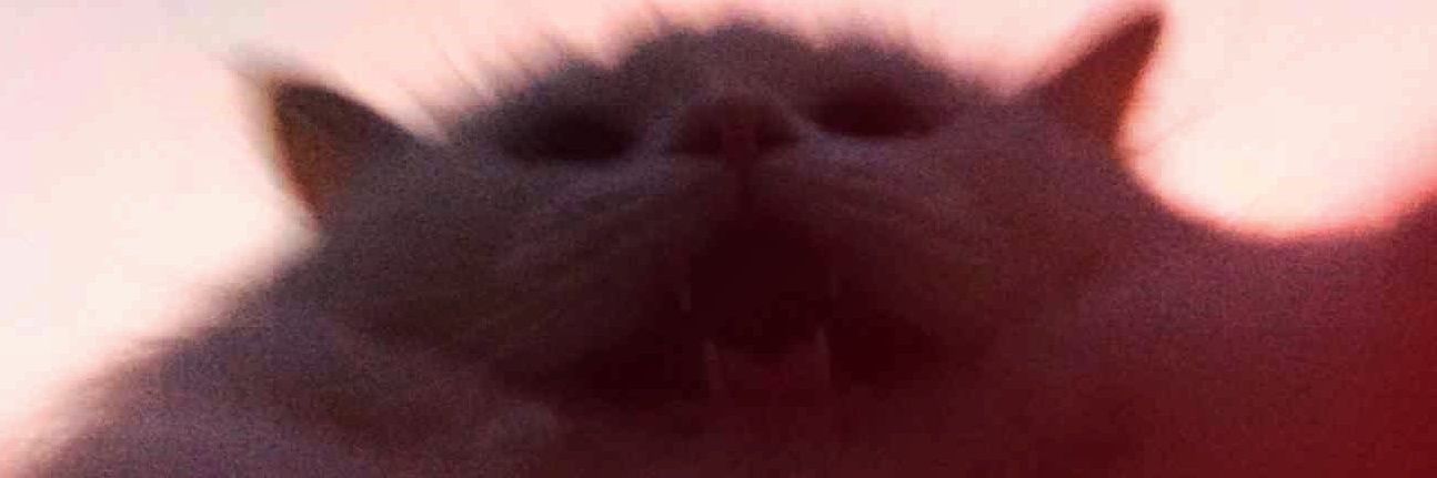 bub_ble2's profile banner image