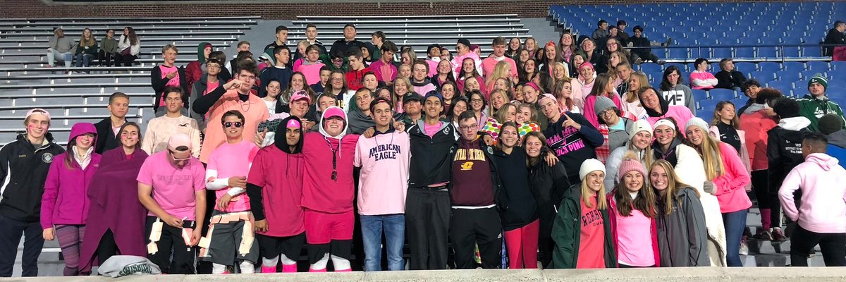 Lewisburg Area HS banner
