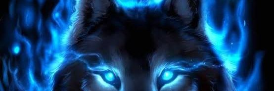 rebelredwolf's profile banner image