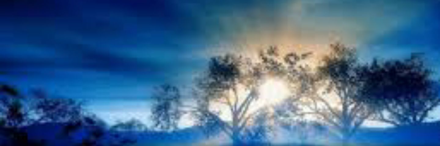 CaliCalirocks4's profile banner image