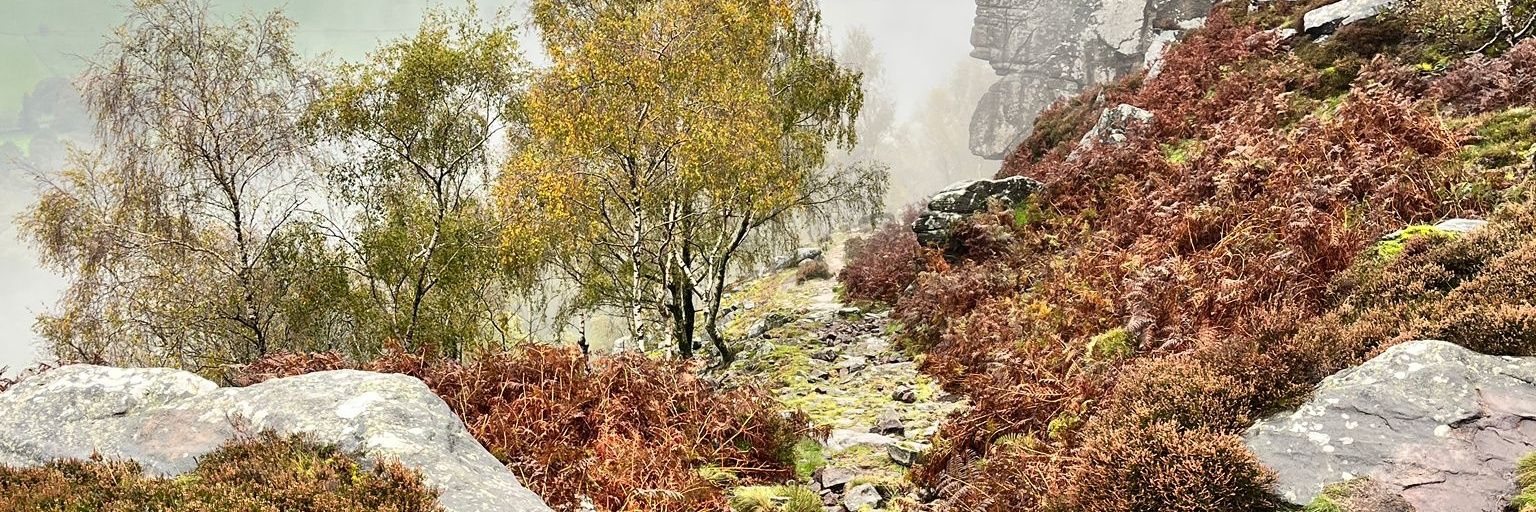 Eastern Moors banner