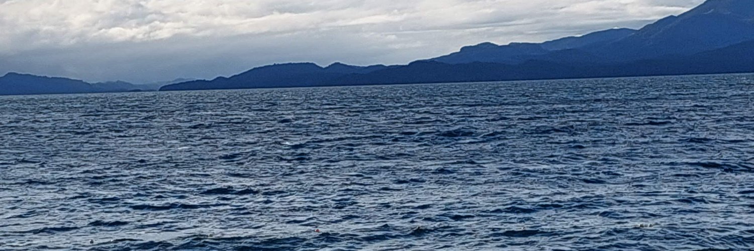valsinlae's profile banner image