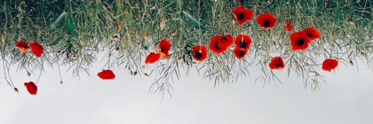 naaa3_om's profile banner image