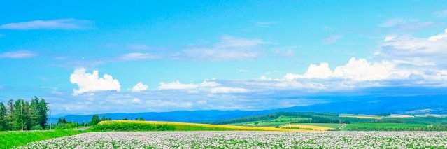 kpyonko12637's profile banner image