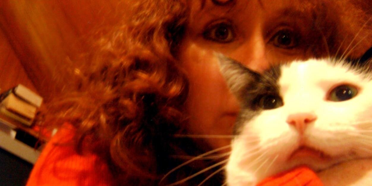 SeaShellsRule's profile banner image