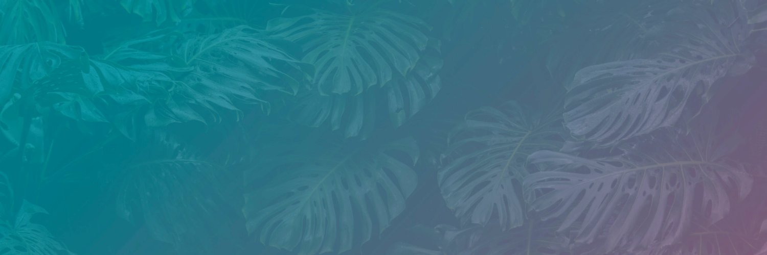 hochkant's profile banner image
