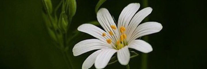 G__8936's profile banner image