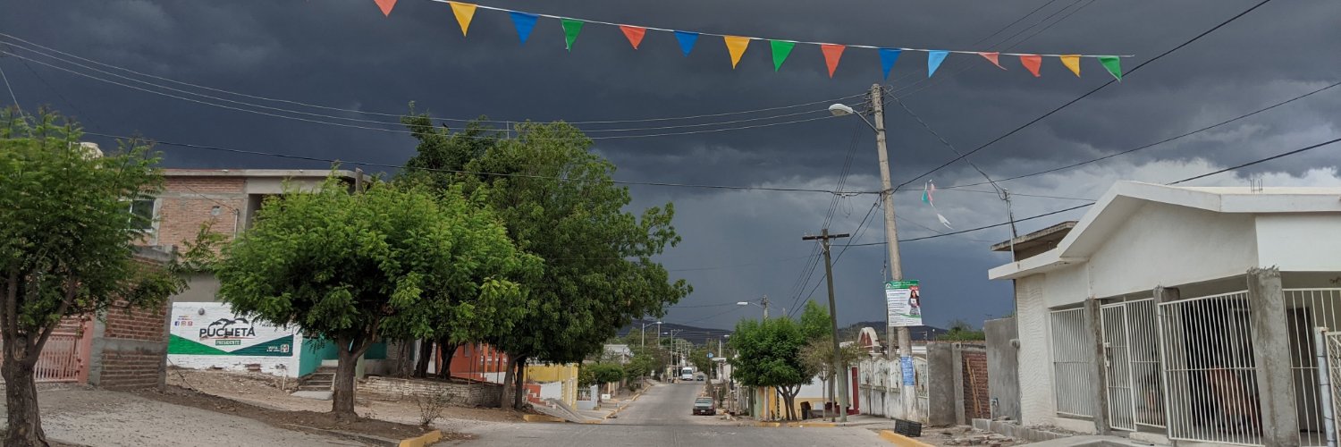 Nestor Sanchez banner