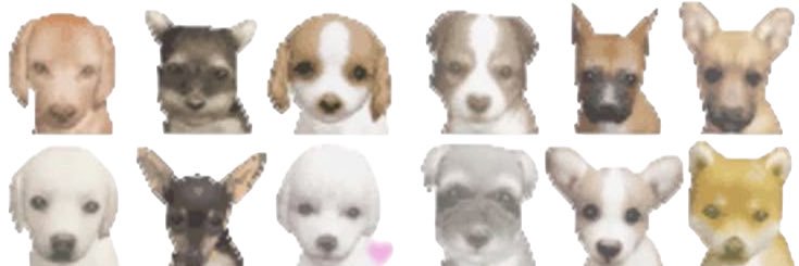 tommyschat_'s profile banner image