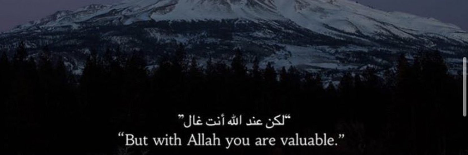 ❄️ banner
