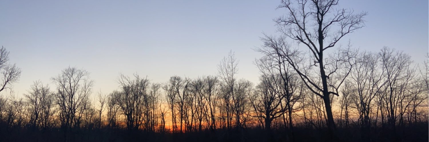 hanneman_14's profile banner image