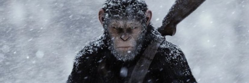 MPCll_'s profile banner image
