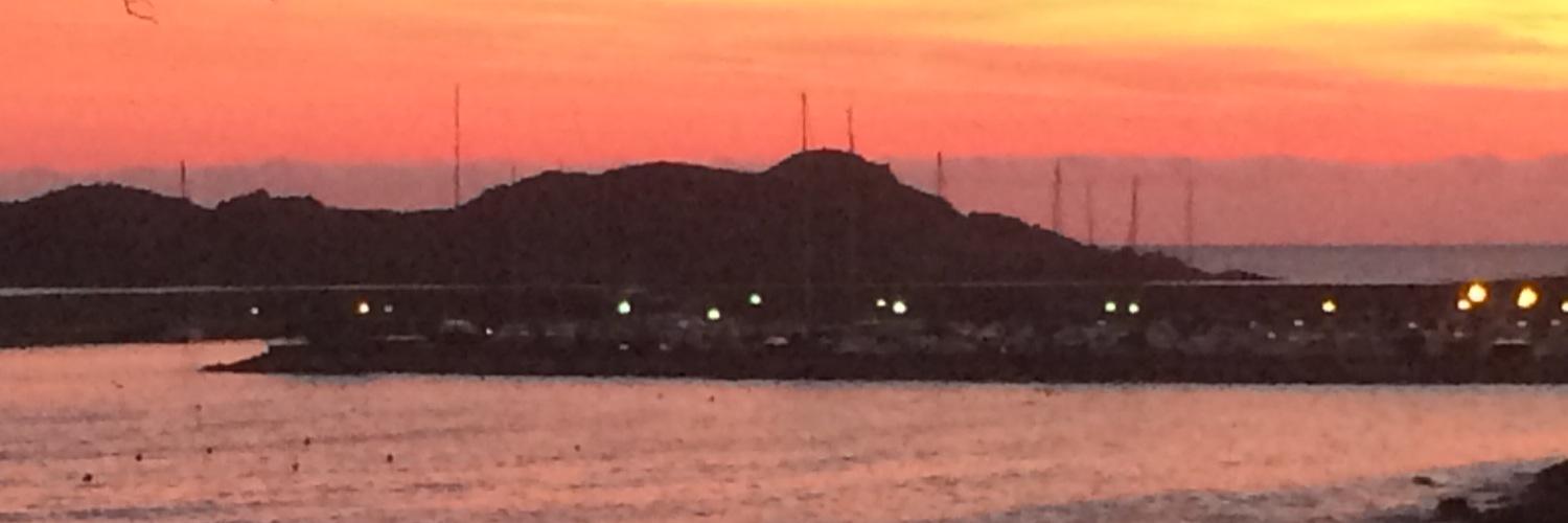 Antonio Addis banner