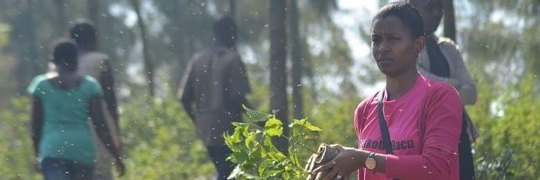ypardrwanda's profile banner image