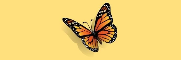 zeynabsheriff's profile banner image