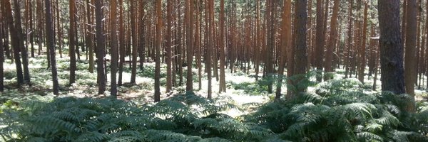 vimokadipa Profile Banner