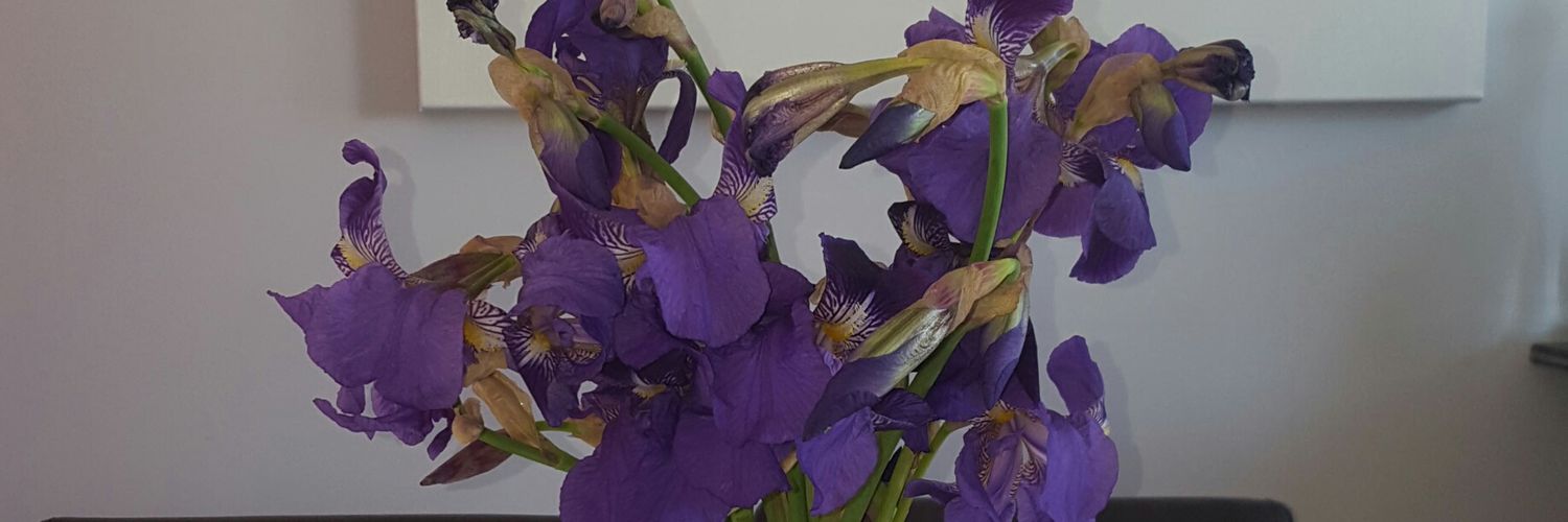 f4fd4ba75ebd433's profile banner image