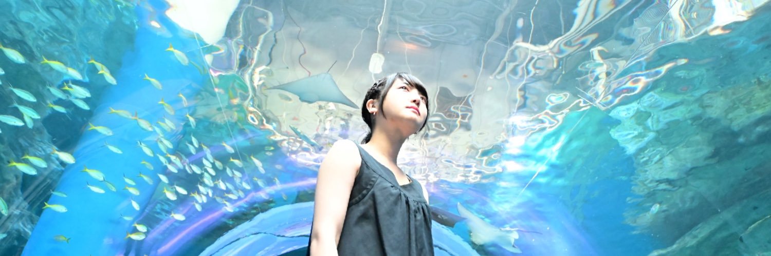 mashぢぃこわ banner