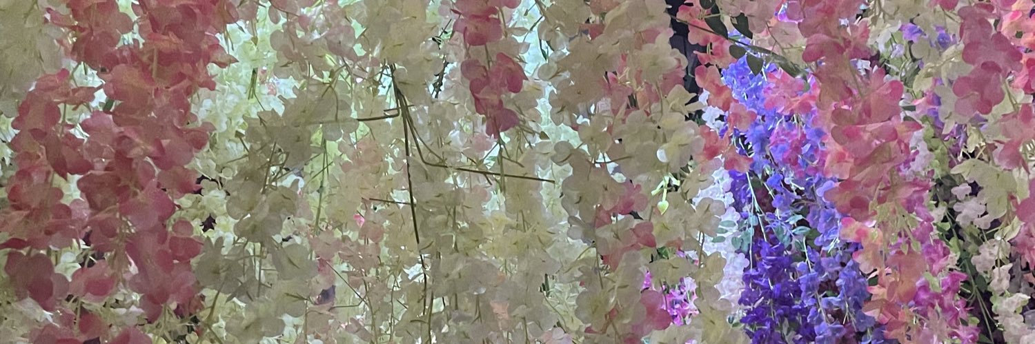 SAPYONT's profile banner image