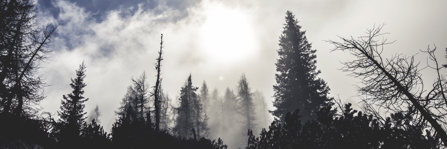 Gold3n_Brown's profile banner image
