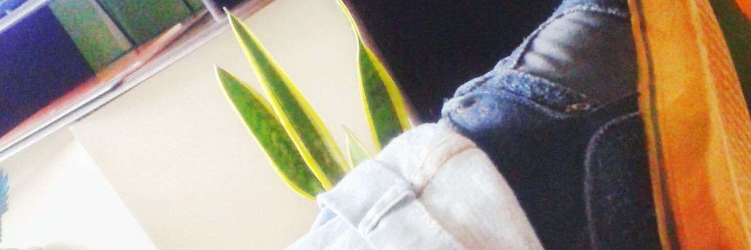 GabPhotograph's profile banner image