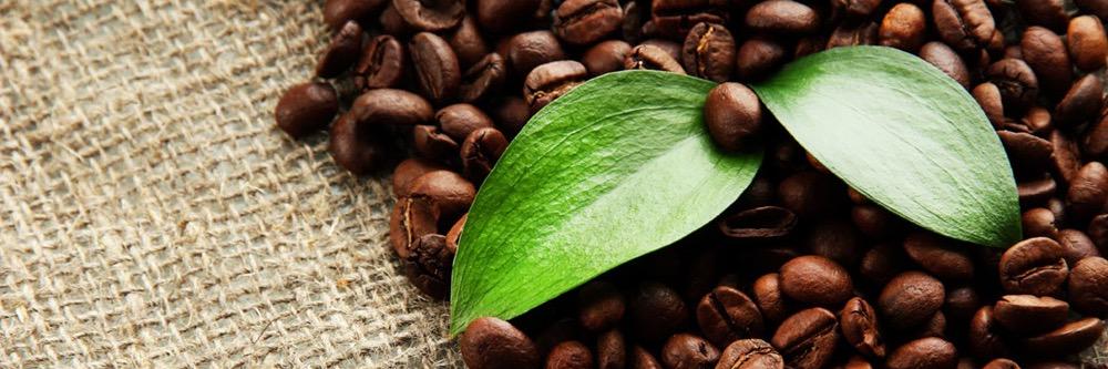 TheZingCafe's profile banner image