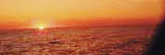 Susan Taylor Thomas banner