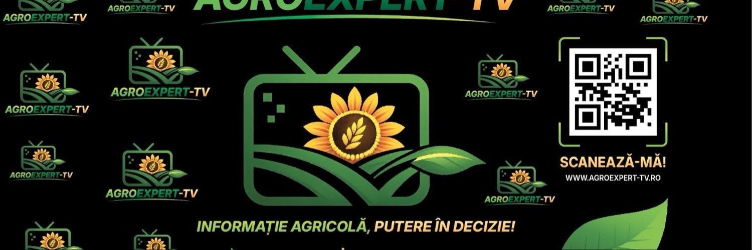 AlliceSimona's profile banner image
