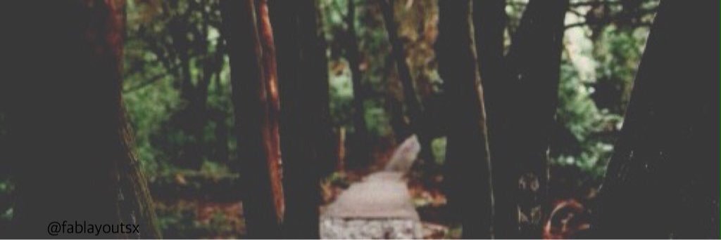 KristenHaig's profile banner image