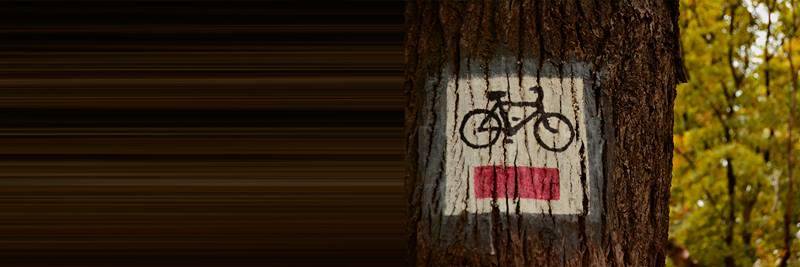 alejodtp's profile banner image