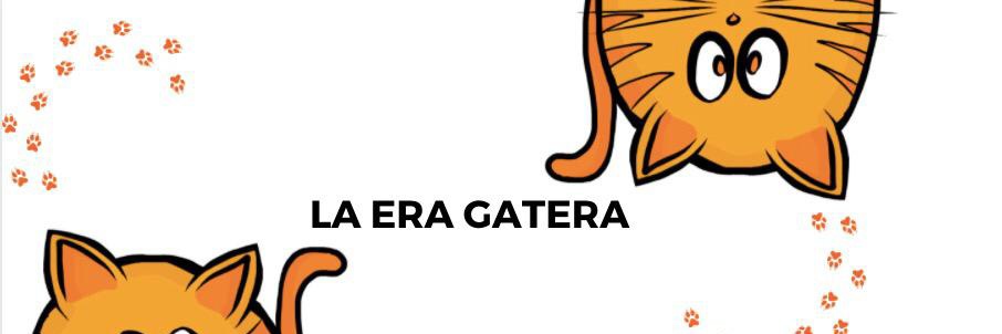 laeragatera's profile banner image