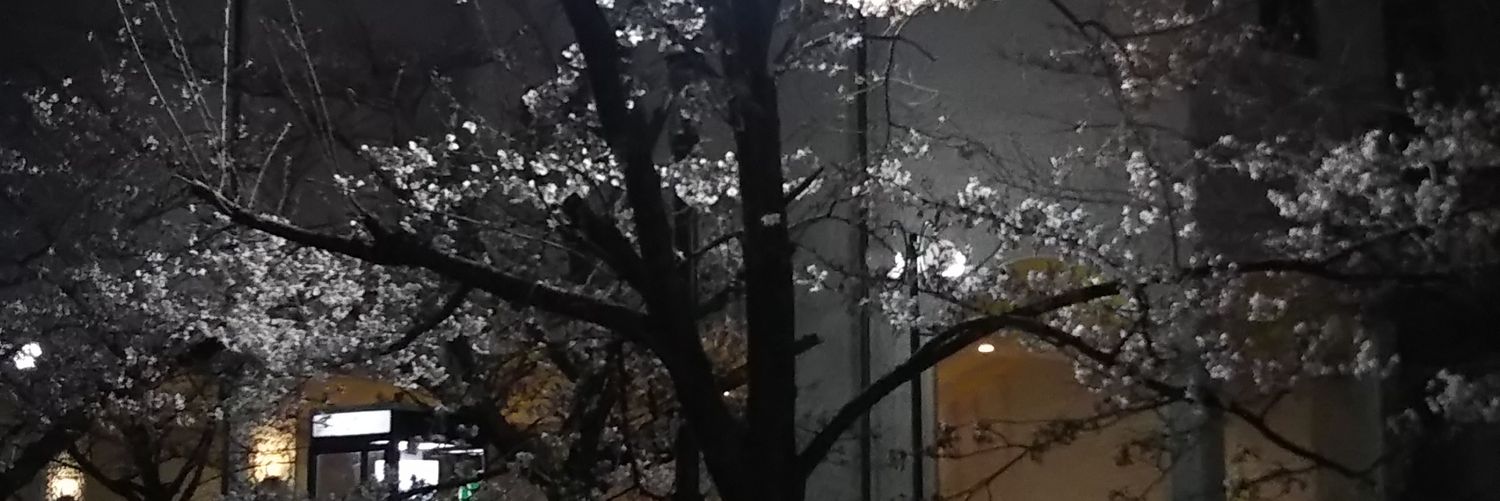 RotnekR's profile banner image