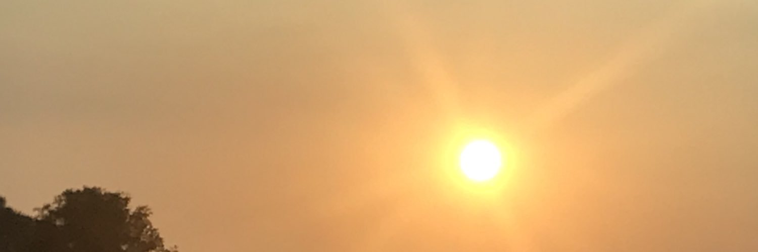 baeikens's profile banner image