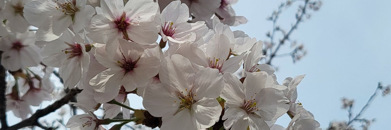 _contremoi's profile banner image