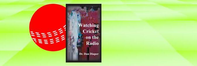 Dr. Dan Diaper's banner