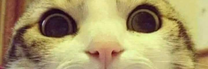 leflemardd's profile banner image