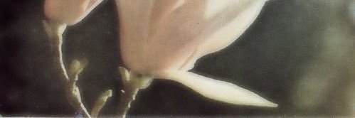 ‘ banner