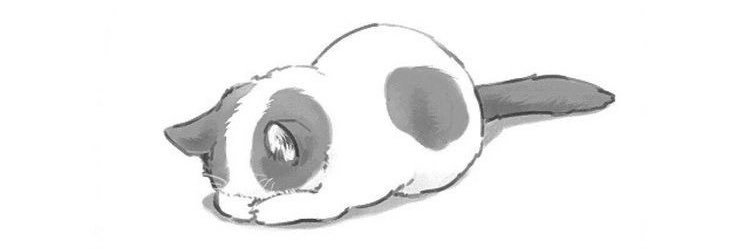 paula ☁️🧸 banner