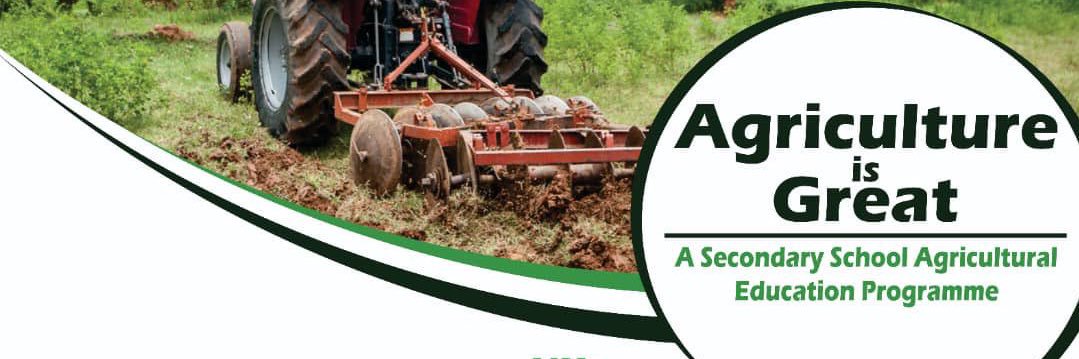 Ifeoluwa (Ife) Abulude banner