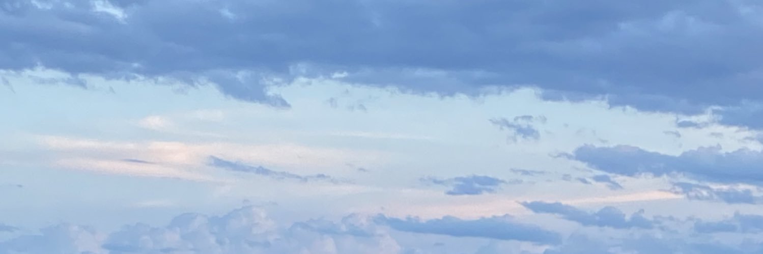 三次元豚 banner