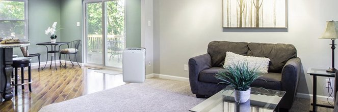 Sam_Coolerman's profile banner image
